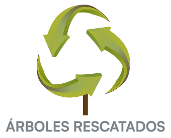 arbol